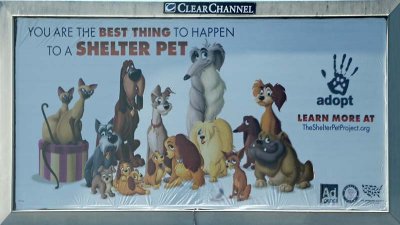 Shelter Pet Billboard