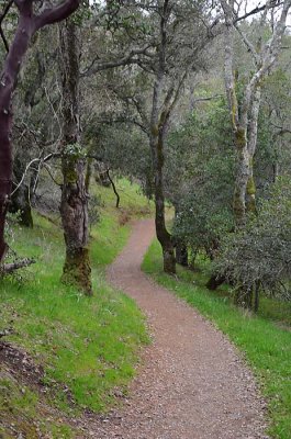 Smooth Path