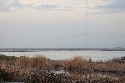 Marsh & Aerial Towers