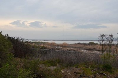 1/23/13: Looking Over the Water