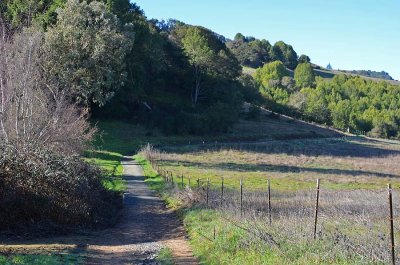 Upper Meadow Trail
