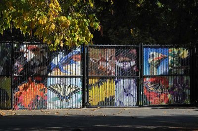 Photo Art on the Fence