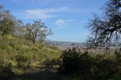 Blue Sky and the Meadow