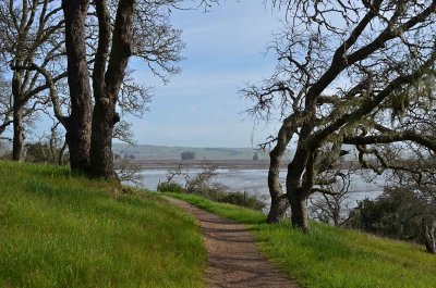 Path Around the Hill