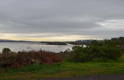 Full Pond and Dark Sky