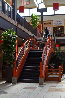 Japanese Bridge Steps