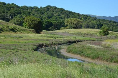 Bend in Rush Creek