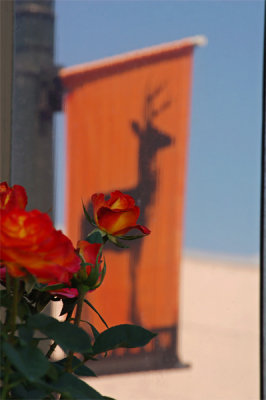 Rose & Deer - Original