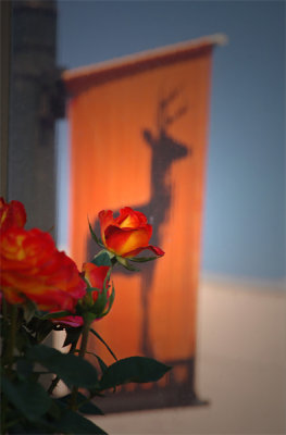 Rose & Deer - Lighting Effects