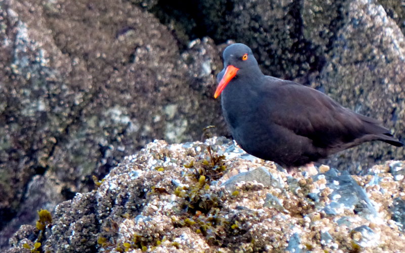 P1010643.JPG