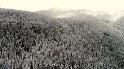 DUSTED BY SNOW.JPG