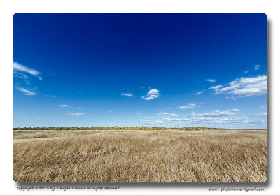 Coastal Prairie
