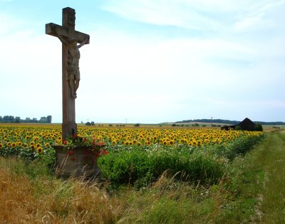 Die Farben des Sommers II.jpg