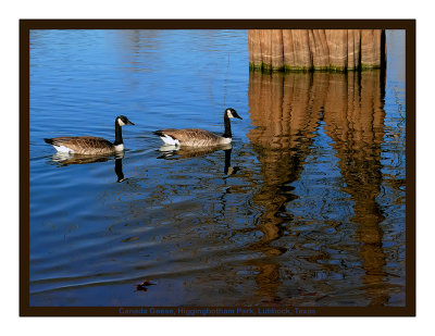 2012 Landscape Calendar