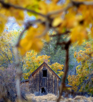 Butchs Barn