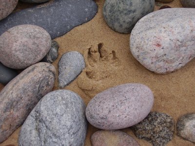 HurricaneRiver-Beach-Footprint2