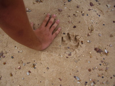 HurricaneRiver-Beach-Footprint4
