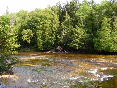 Tahquamenon River 5...nearing the end of a 12 mile hike