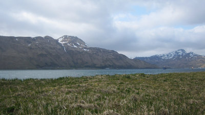 Unalaska