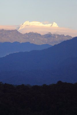 Antisana Volcano