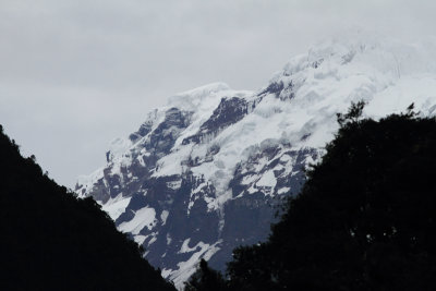 Cayambe Coca Ecological Reserve