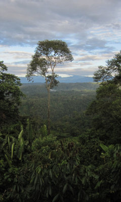 Wildsumaco Biological Station