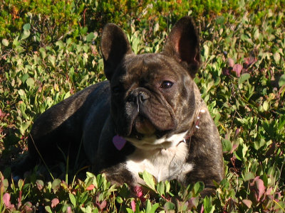 g2/34/696234/3/66311588.jS1DkpUg.jpg