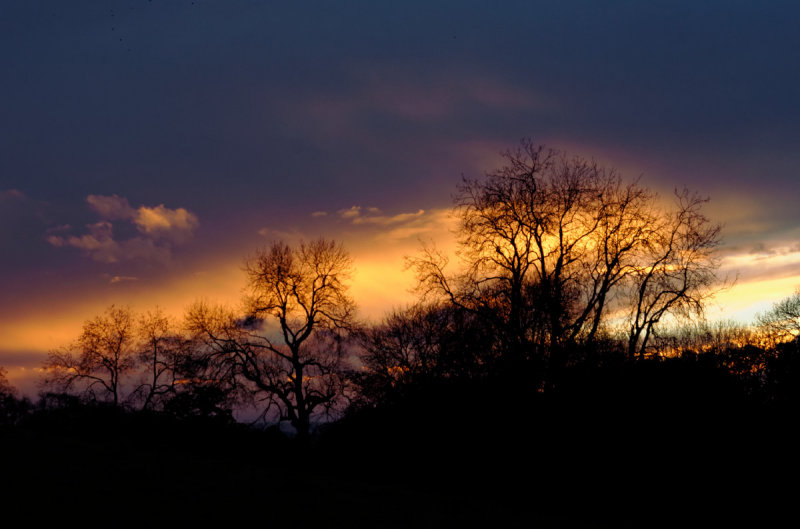 sun and ash