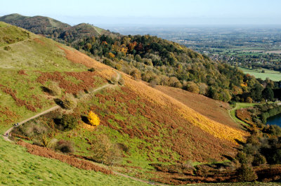 from Herefordshire Beacon