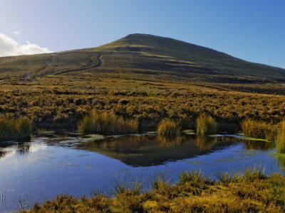 The Sugar Loaf