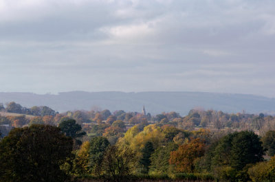 an autumn view