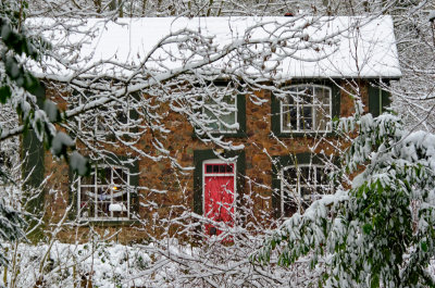 cottage in the wood