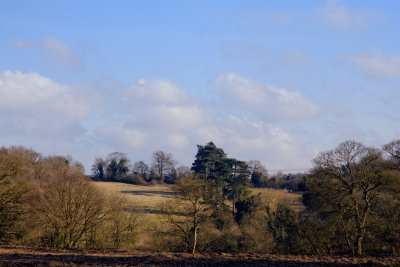Suffolk landscape 1