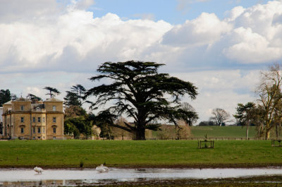 House from the west