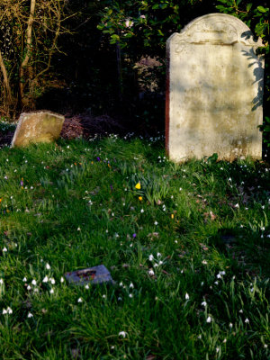 pleasingly neglected graveyard