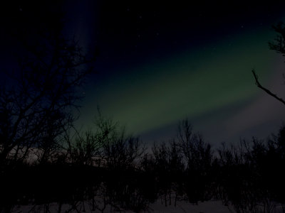 Aurora borealis P2230880.jpg