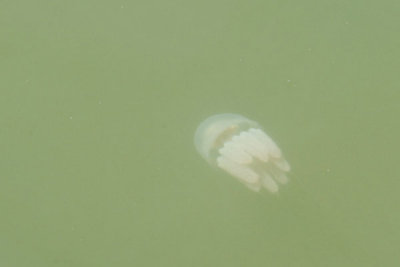 DSC_0075.jpg