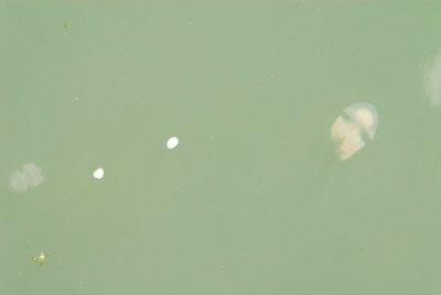 DSC_0076.jpg