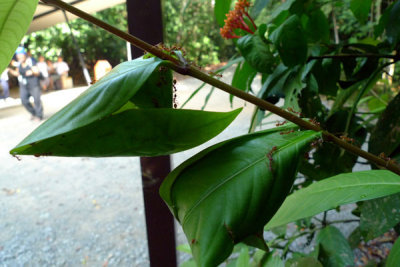P1010974.jpg