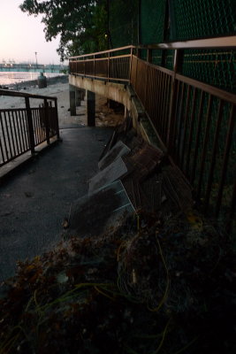 P1010999.JPG