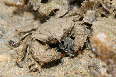 DSC_0091.jpg