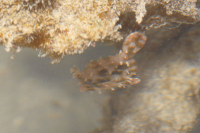 DSC_0100.jpg