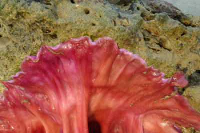 P1020014.jpg