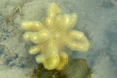 P1020015.jpg