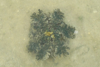 P1020030.jpg