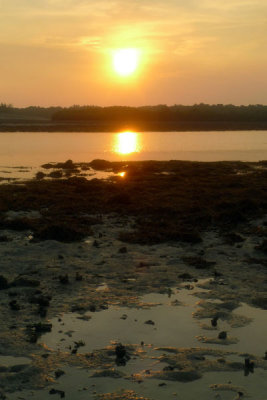 P1020032.jpg