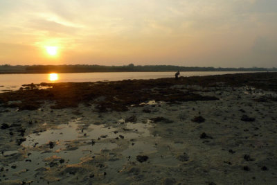 P1020033.jpg