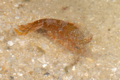 DSC_0162.jpg