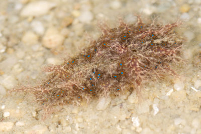 DSC_0177.jpg