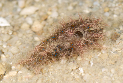 DSC_0178.jpg